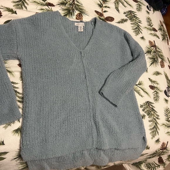 cupcakes & cashmere Sweaters - cupcakes & cashmere Soft Blue V-Neck Sweater